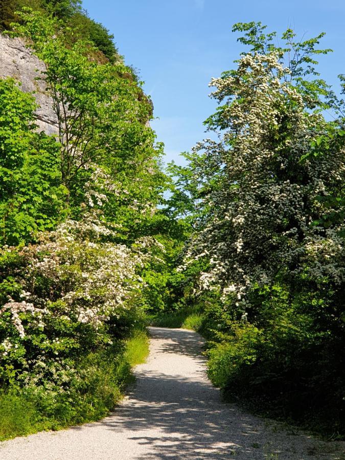 The Cottage Stony Middleton エクステリア 写真